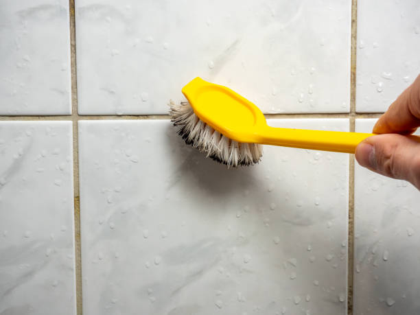 Best Home Mold Removal  in Bowie, MD