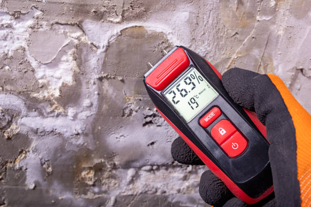 Best Water Damage Restoration  in Bowie, MD