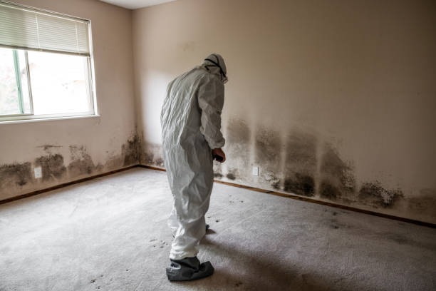 Best Mold Testing  in Bowie, MD